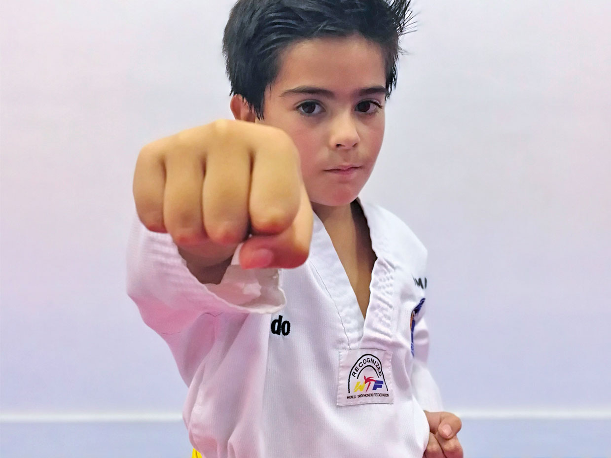 Escuela de artes marciales