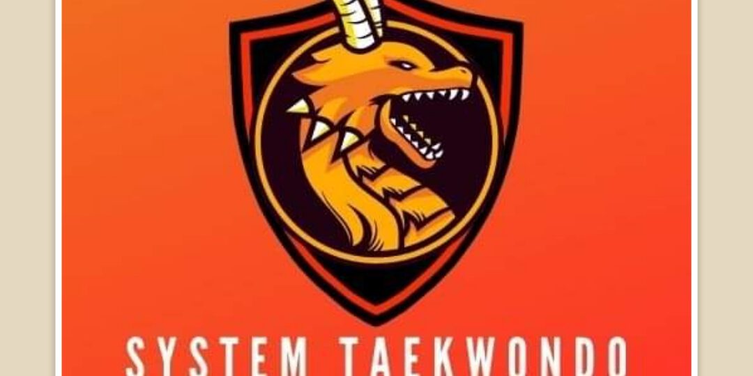 system taekwondo