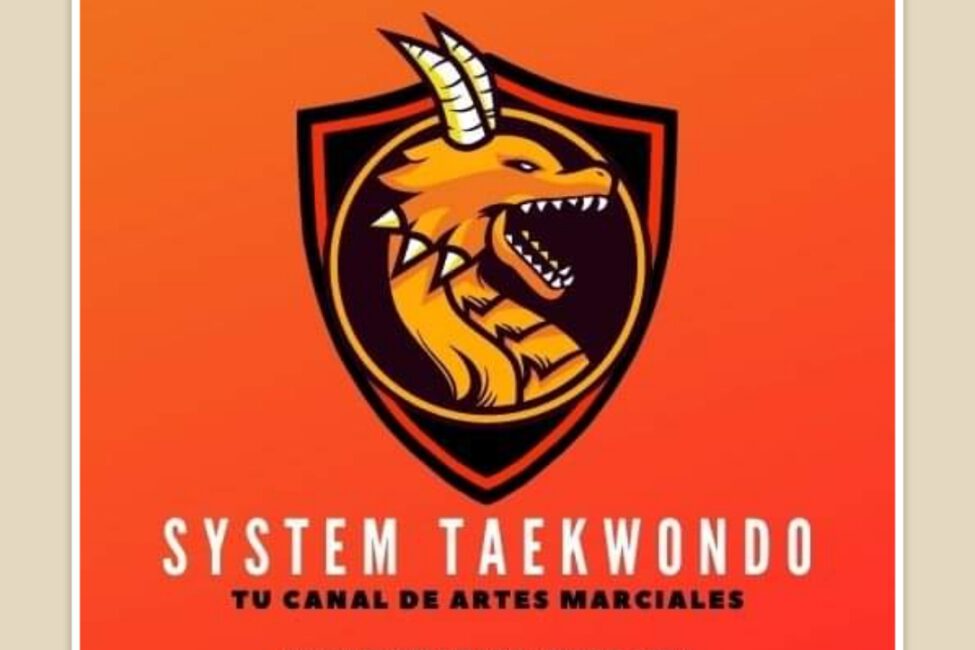 system taekwondo
