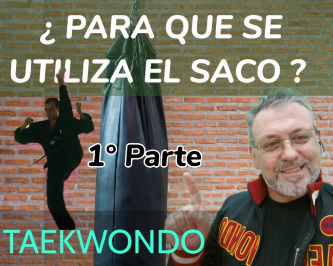 taekwondo zapico