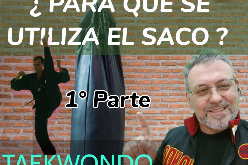 taekwondo zapico