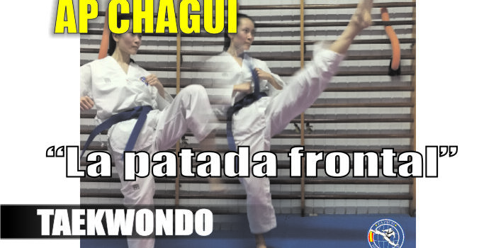 APCHAGUI blog zapico