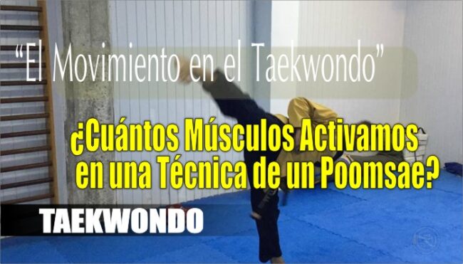 musculos en un poomsae