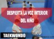 taekwondo voz interior