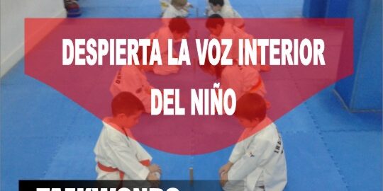 taekwondo voz interior