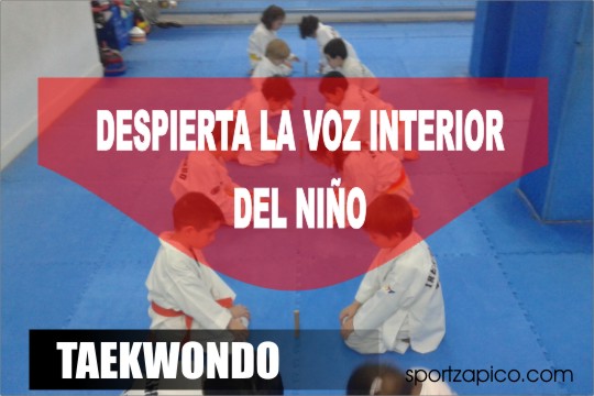 taekwondo voz interior